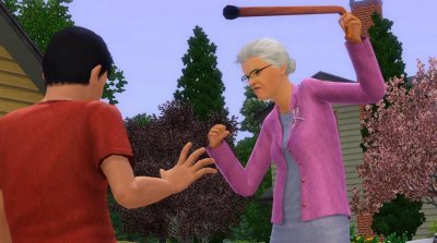 The Sims 3: Generations (��� ��������)