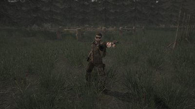 Last Survivor