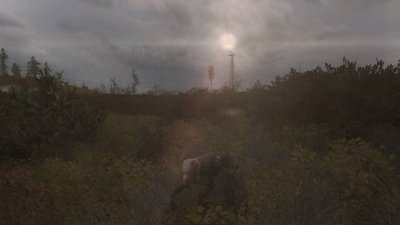 ������� ������ ��������� ������