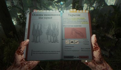 The Forest ��������