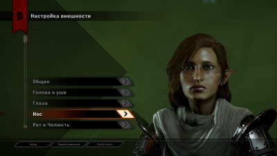 Dragon Age Inquisition ��������