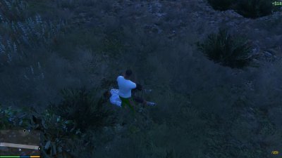��� 5 �������� �����