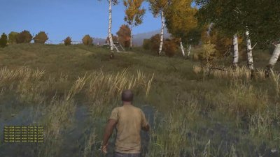DayZ Standalone ������� � ������� 2026