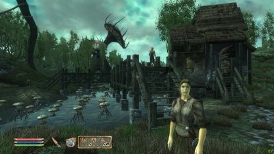 TES Oblivion ������� �������