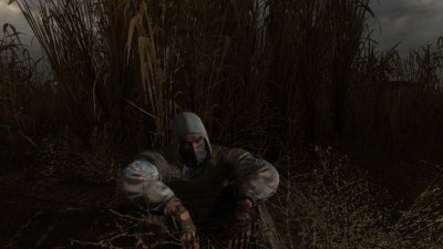 ������� ���� ��������