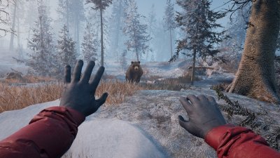 Winter Survival ��������