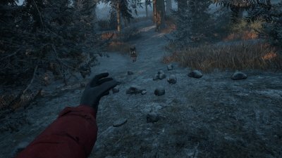 Winter Survival ��������