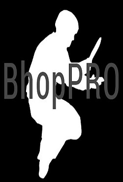 bhop pro �� ��