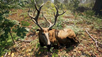 ��������� ������� ���� / Russian Soul Simulator