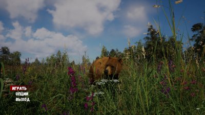 ��������� ������� ���� / Russian Soul Simulator