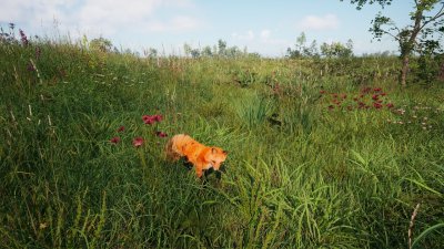 ��������� ������� ���� / Russian Soul Simulator