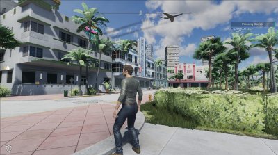 Miami Paradise