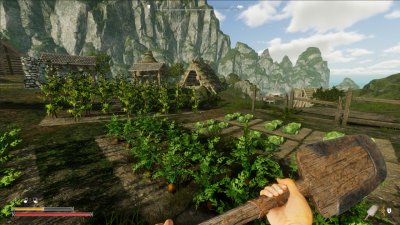 Viking Frontiers