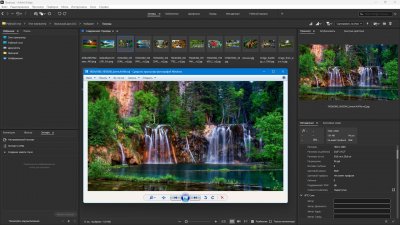 Adobe Bridge 2026