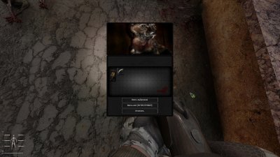 Stalker Gamma