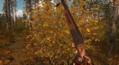 BULT Hunting simulator